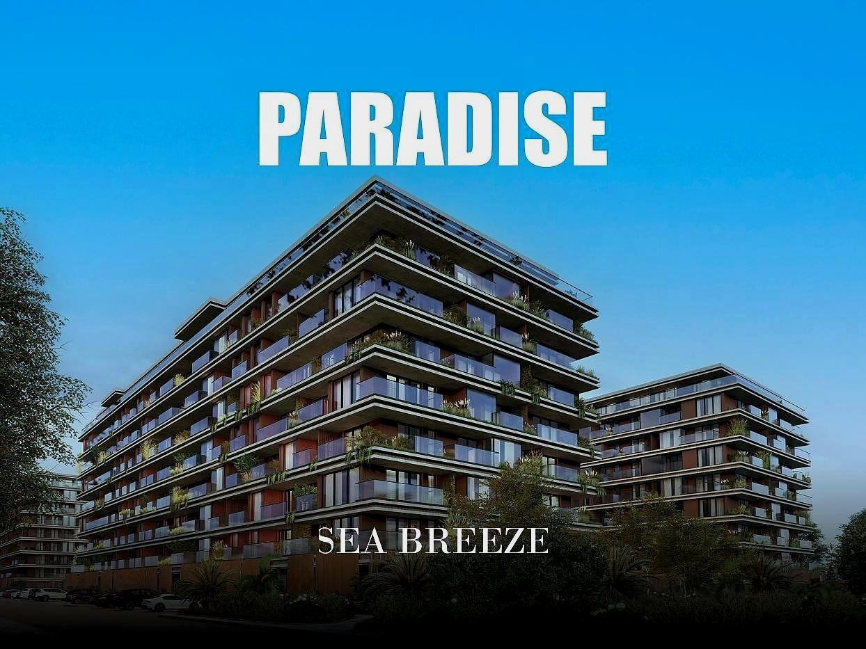 Paradise в Баку