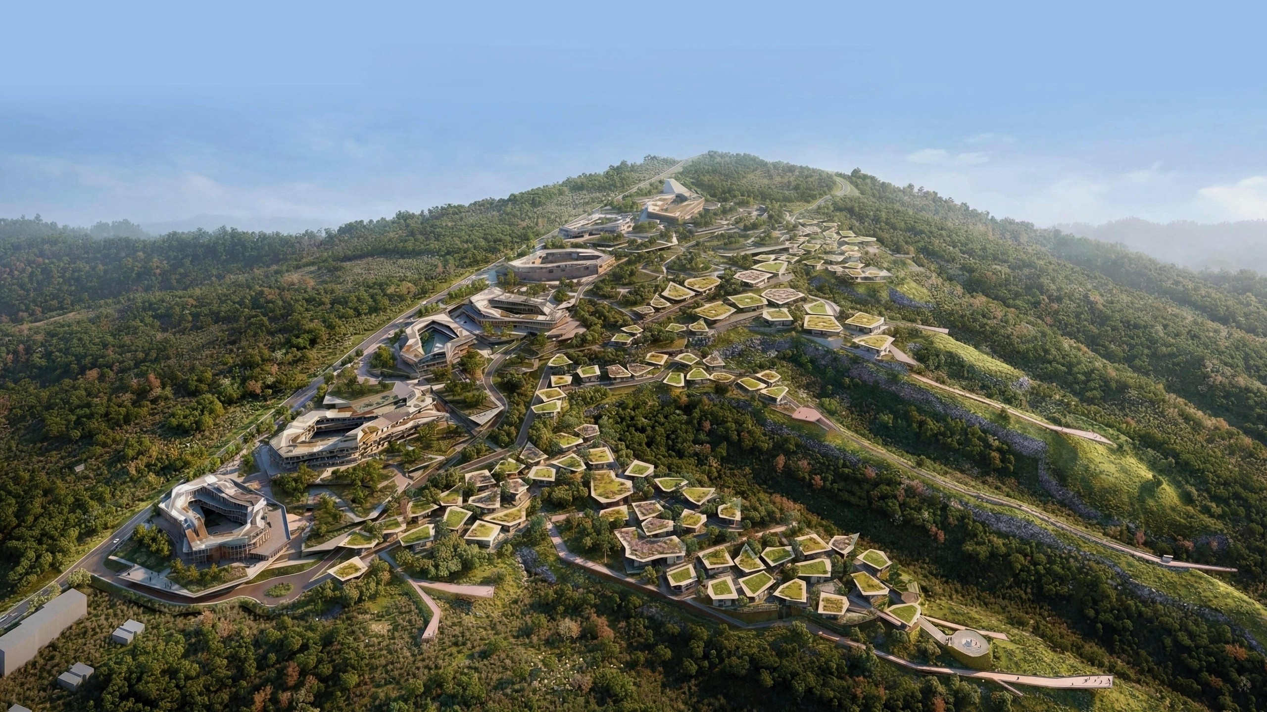 Mira Verde in Tbilisi