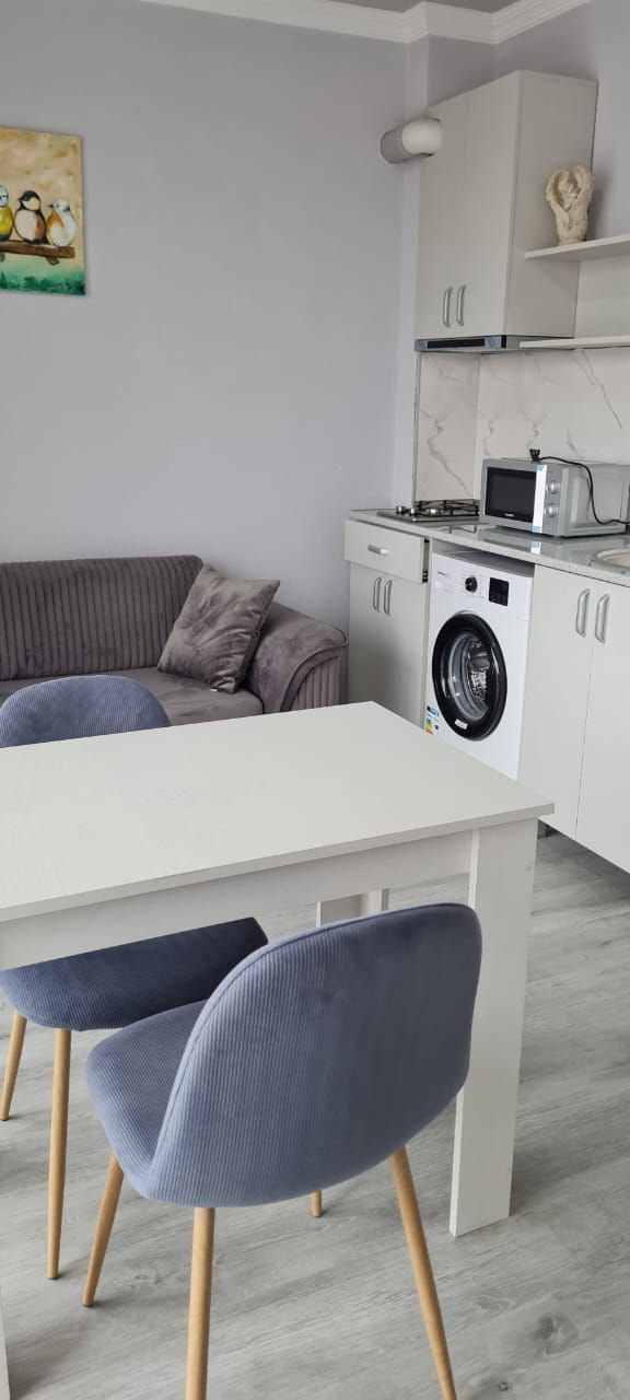 2-Room Apartment For Rent In Batumi, Markoz Achareli St, 20a view 5