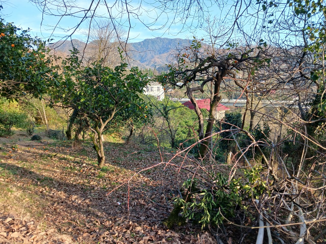 Land For Sale In Chakvi, 1,121 M² For $56,050 view 1