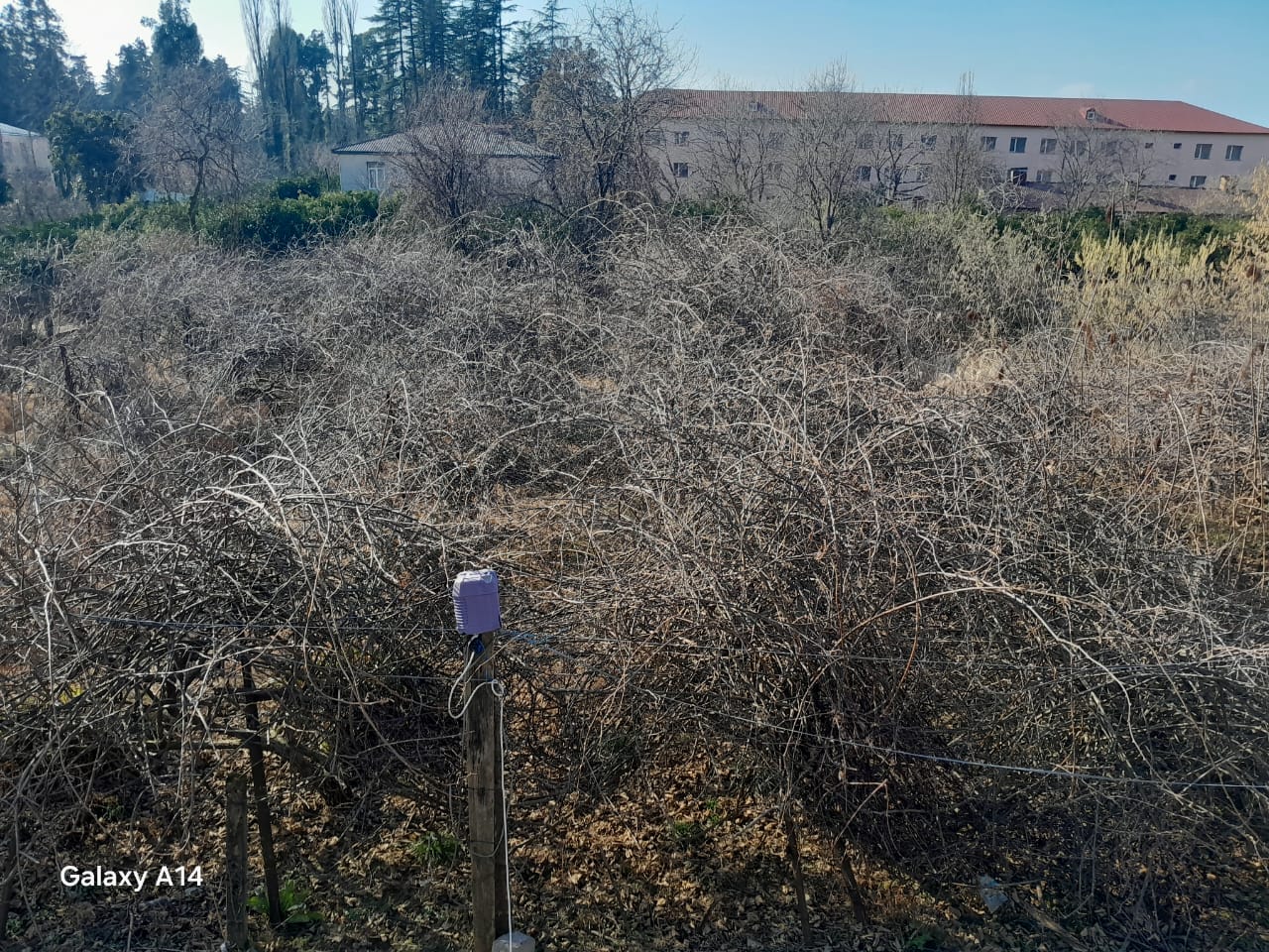 Land For Sale In Batumi, 1,753 M² For $105,000 view 4