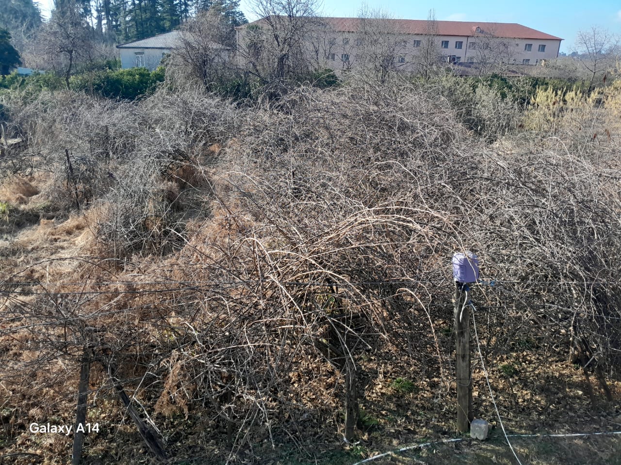 Land For Sale In Batumi, 1,753 M² For $105,000 view 3