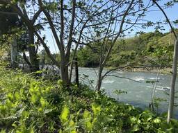 Land For Sale In Batumi, 1,753 M² For $105,000 view 6