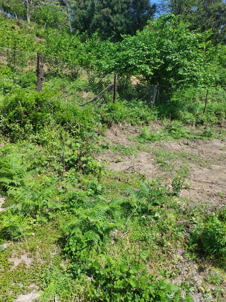 Land For Sale In Batumi, 301 M² For $25,600 view 3