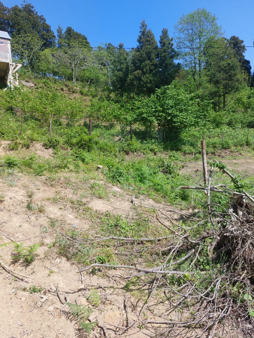 Land For Sale In Batumi, 301 M² For $25,600 view 4