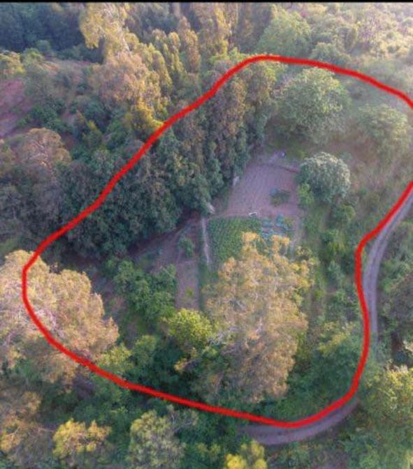 Land For Sale In Batumi, 2,500 M² For $300,000 view 10