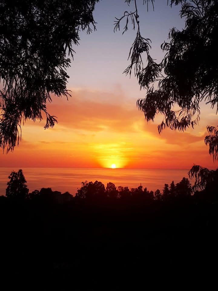 Land For Sale In Batumi, 2,500 M² For $300,000 view 5