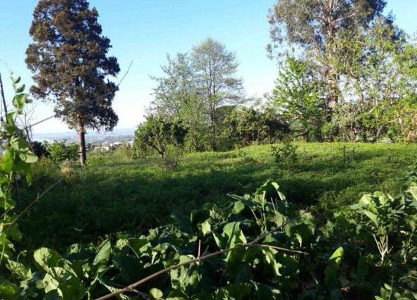 Land For Sale In Batumi, 2,500 M² For $300,000 view 12