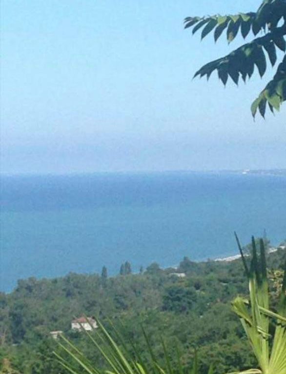 Land For Sale In Batumi, 2,500 M² For $300,000 view 8