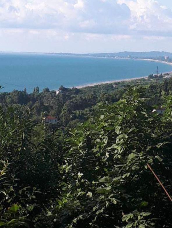 Land For Sale In Batumi, 2,500 M² For $300,000 view 7