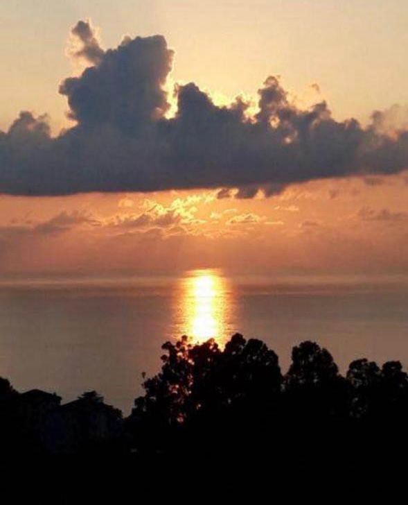 Land For Sale In Batumi, 2,500 M² For $300,000 view 9