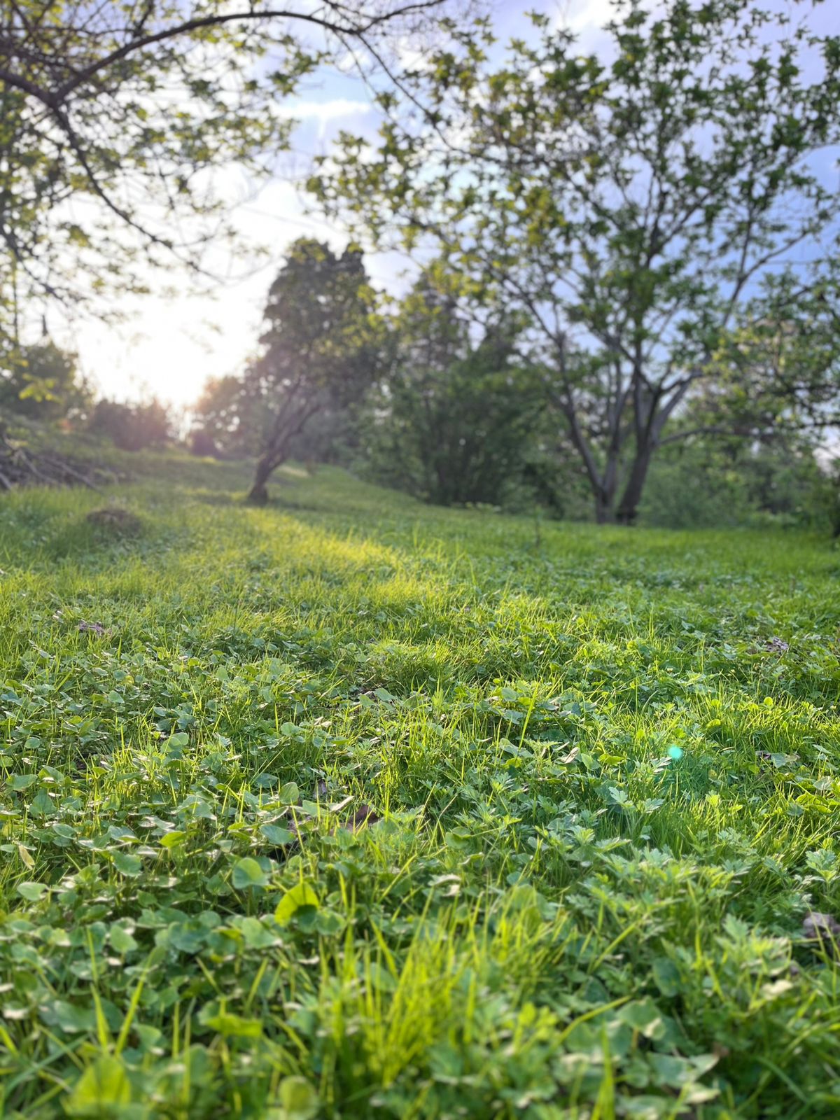 Land For Sale In Batumi, 2,500 M² For $300,000 view 1