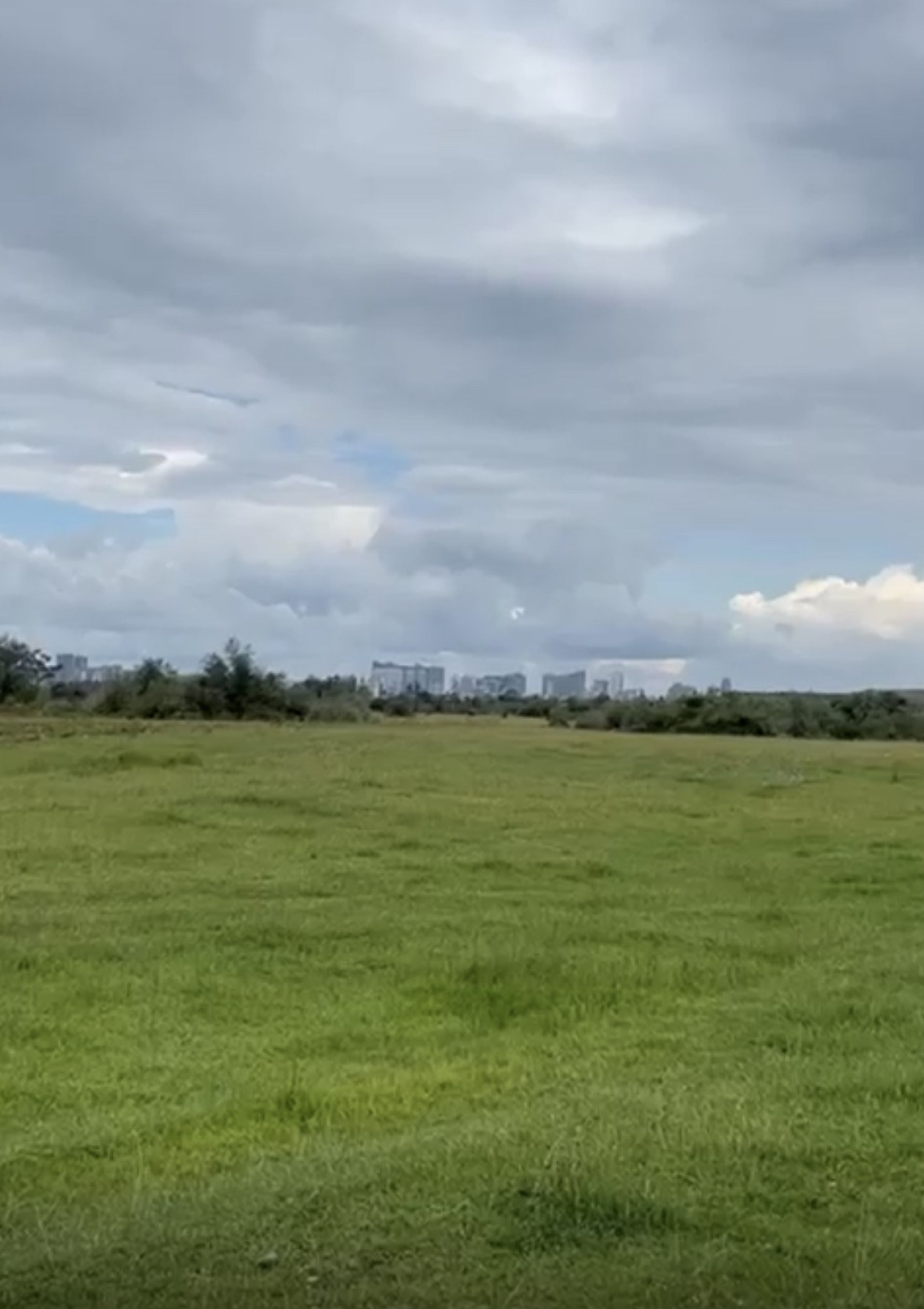Land For Sale In Batumi, 7 Ha For $3,500,000 view 6