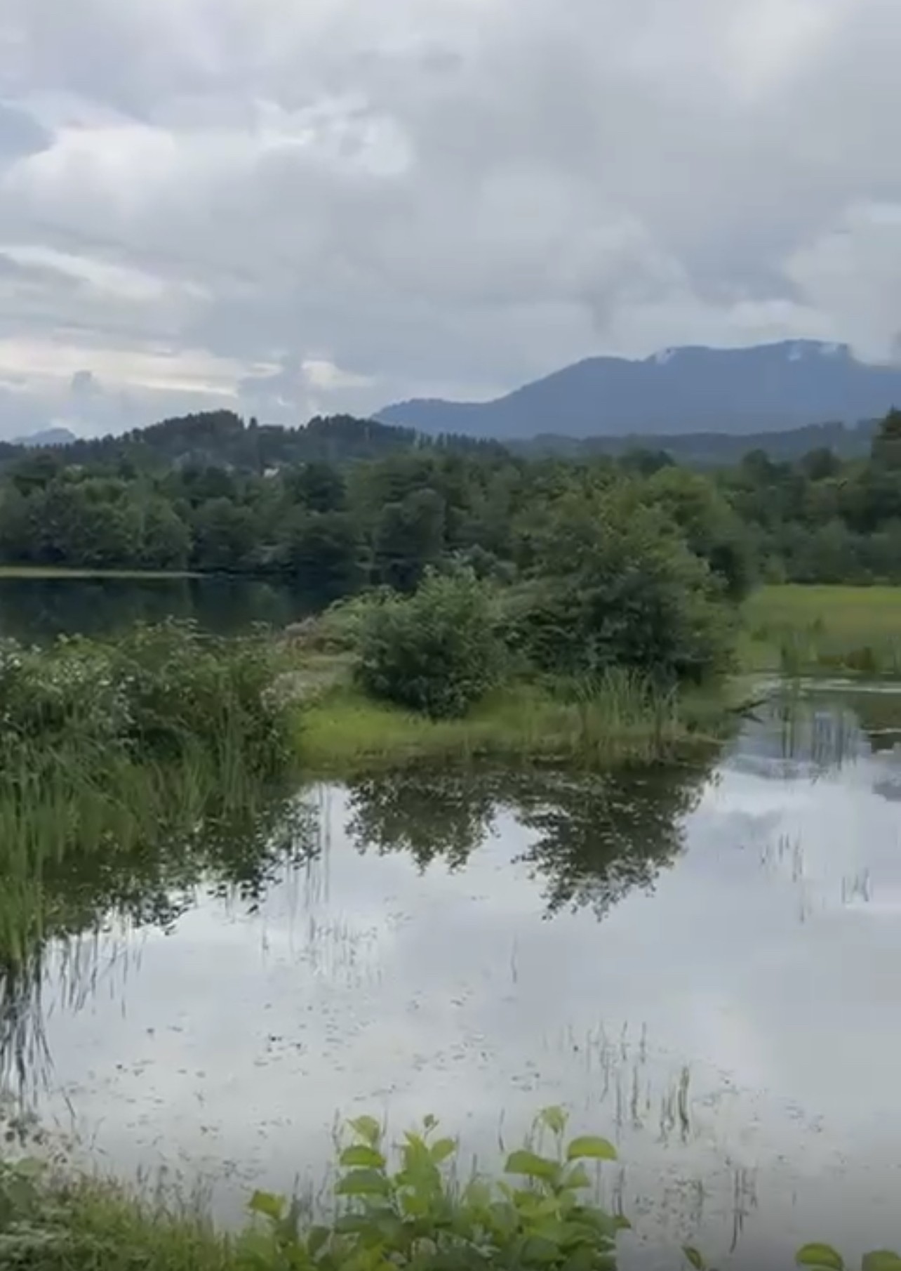 Land For Sale In Batumi, 7 Ha For $3,500,000 view 2