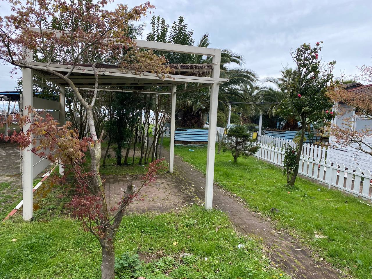 Commercial Property For Sale: 2,500 M² In Gonio, Mgzavrebi Seaside – $1,900,000 view 16