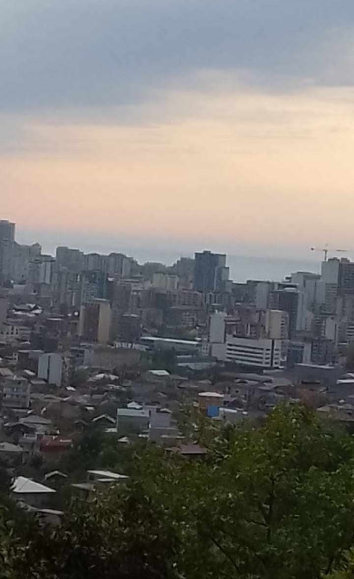 Land For Sale In Batumi, 1,000 M² For $110,000 view 3