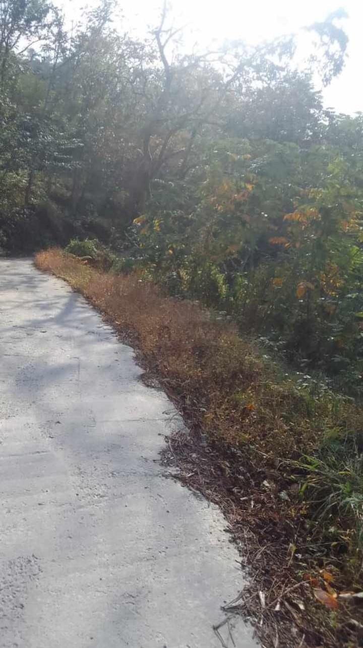 Land For Sale In Batumi, 1,000 M² For $110,000 view 1