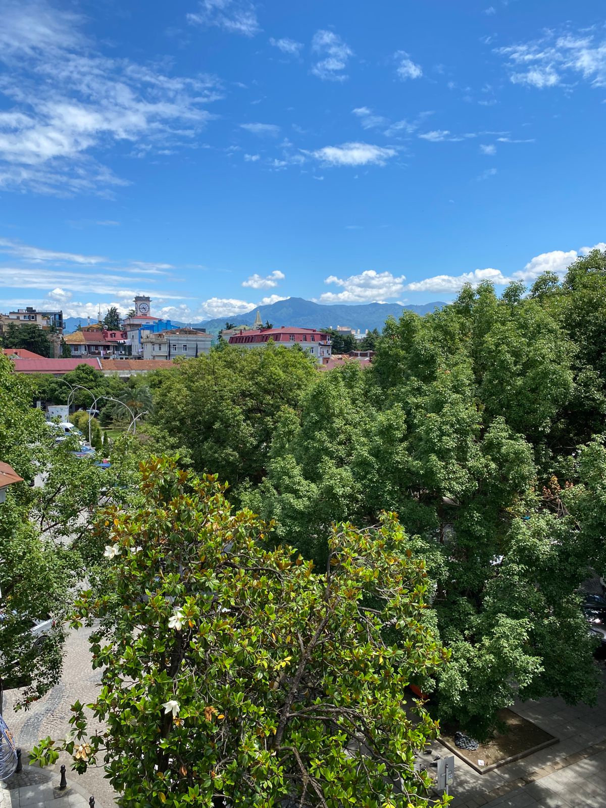 3-Room House For Rent In Batumi, Kote Marjanishvili St, 8 view 12