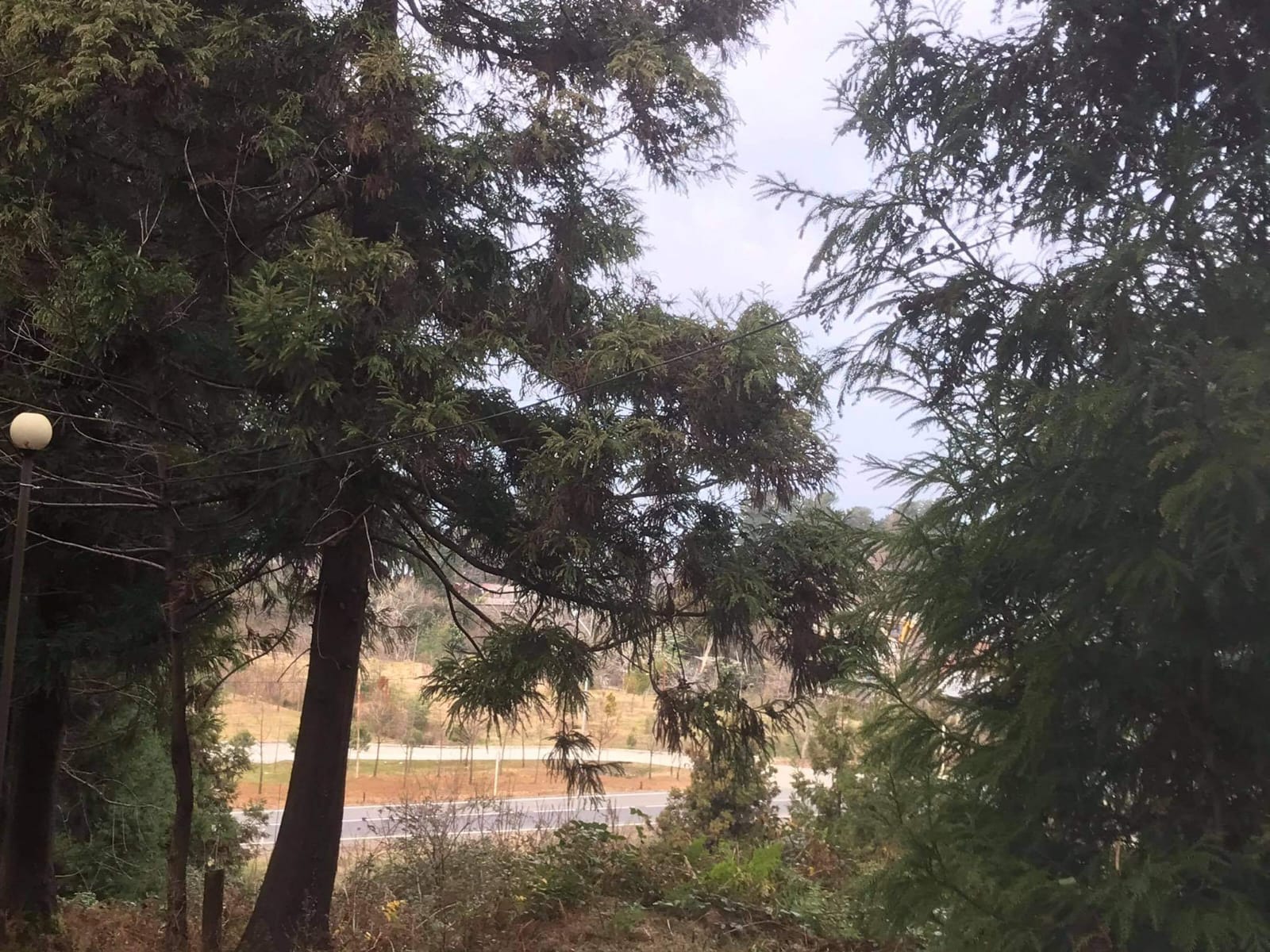 იყიდება მიწა In Chakvi, 1, 216 M² For $133, 760ში view 4