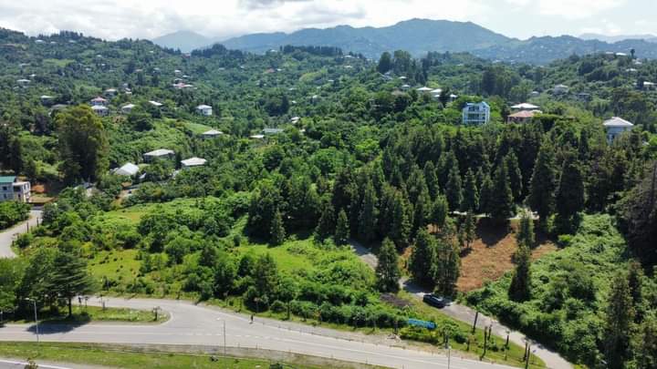 იყიდება მიწა In Chakvi, 1, 216 M² For $133, 760ში view 7