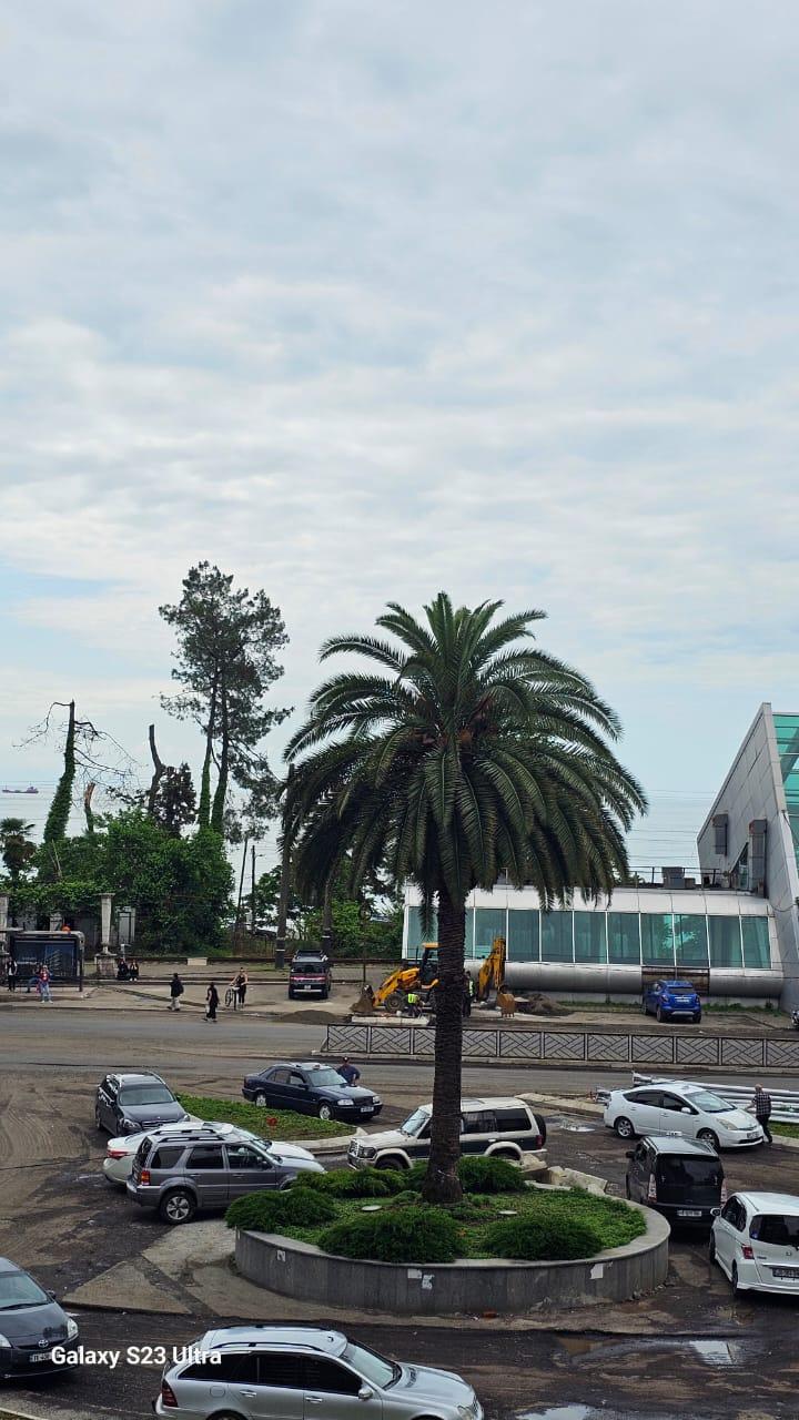 Commercial Property For Sale: 400 M² In Batumi, Tamar Mepis Gamz 3 Shes – $400,000 view 11