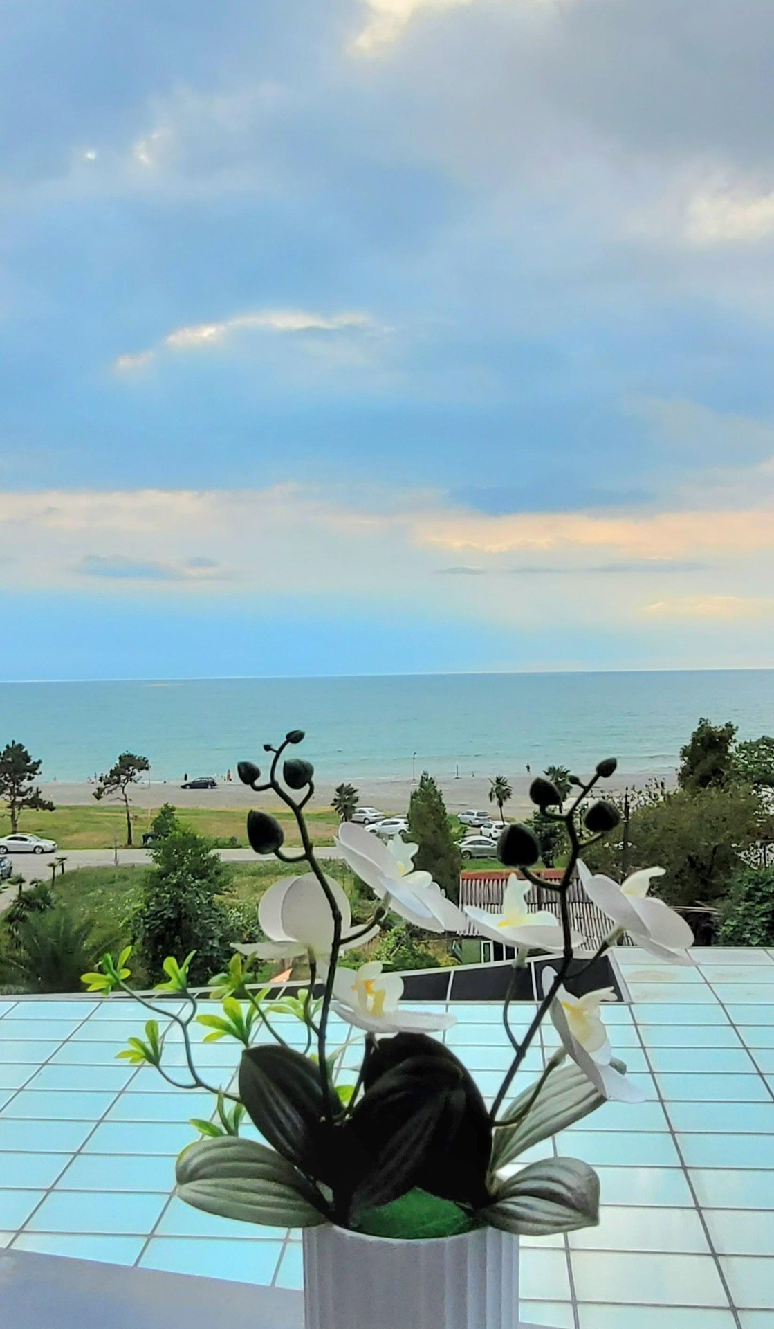2-Room Apartment For Sale In Chakvi, Complex Del Mar view 27