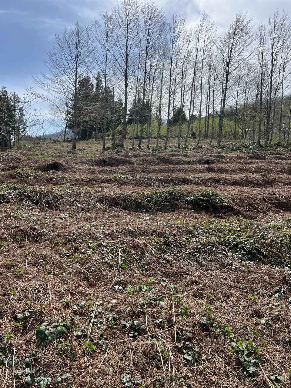 Land For Sale In Batumi, 3,864 M² For $253,000 view 3
