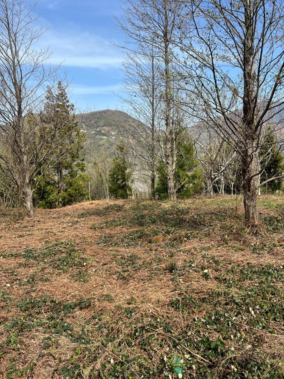 Land For Sale In Batumi, 3,864 M² For $253,000 view 2