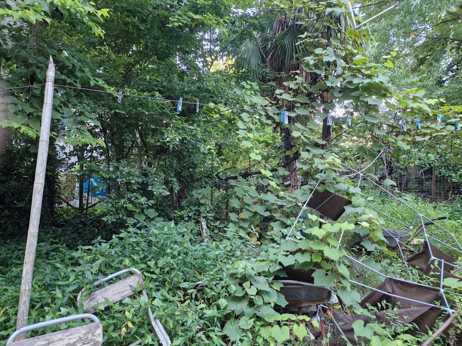 Land For Sale In Batumi, 442 M² For $230,000 view 4