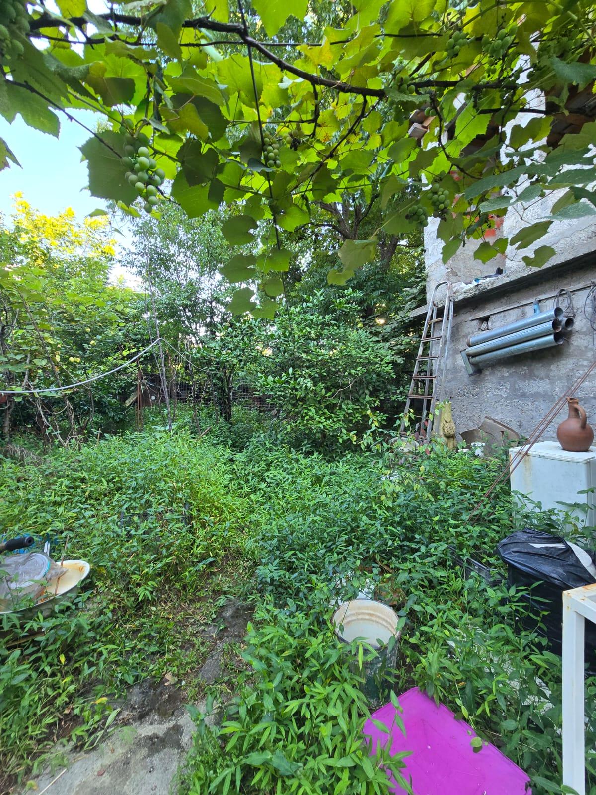 Land For Sale In Batumi, 442 M² For $230,000 view 2