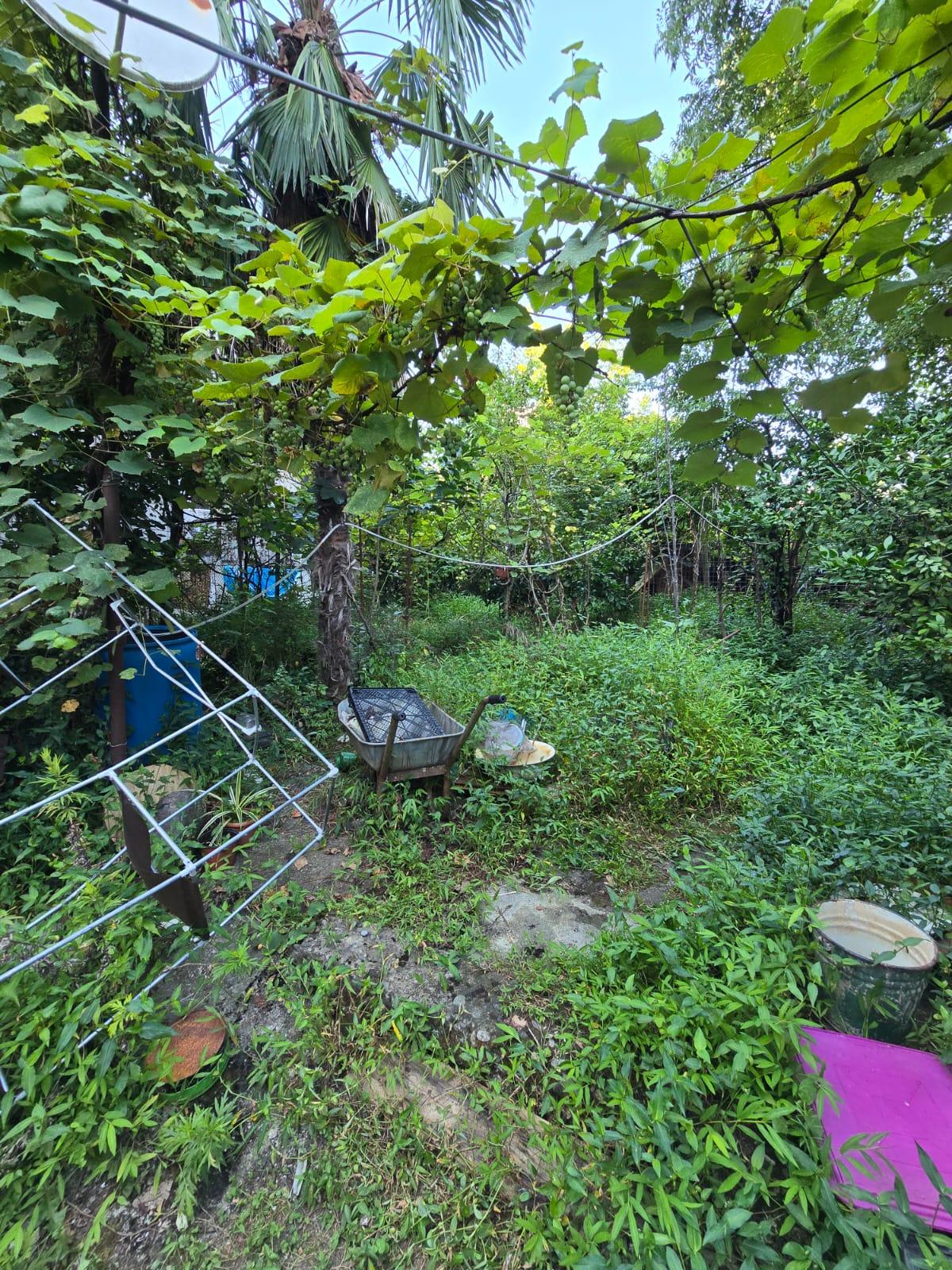 Land For Sale In Batumi, 442 M² For $230,000 view 7