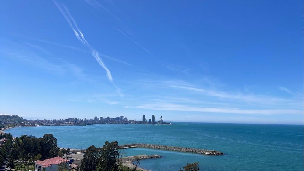 2-Room Apartment For Sale In Batumi, Tamar Mepe Ave, 1 view 10