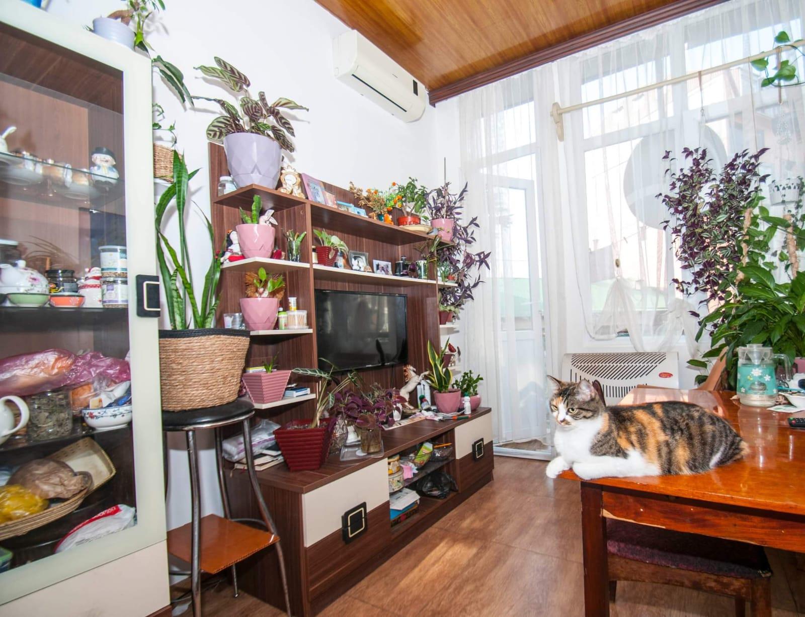 4-Room Apartment For Sale In Batumi, Sabazho Lane, 2 view 8