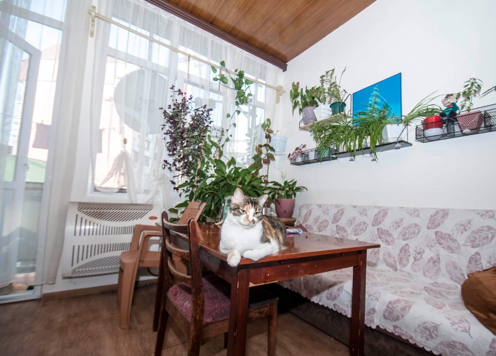 4-Room Apartment For Sale In Batumi, Sabazho Lane, 2 view 6