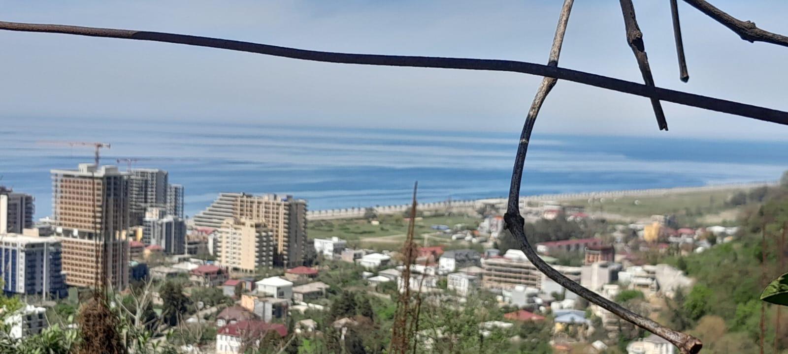 Land For Sale In Batumi, 1,000 M² For $140,000 view 7