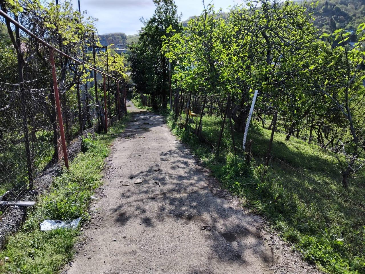 Land For Sale In Batumi, 1,000 M² For $140,000 view 1