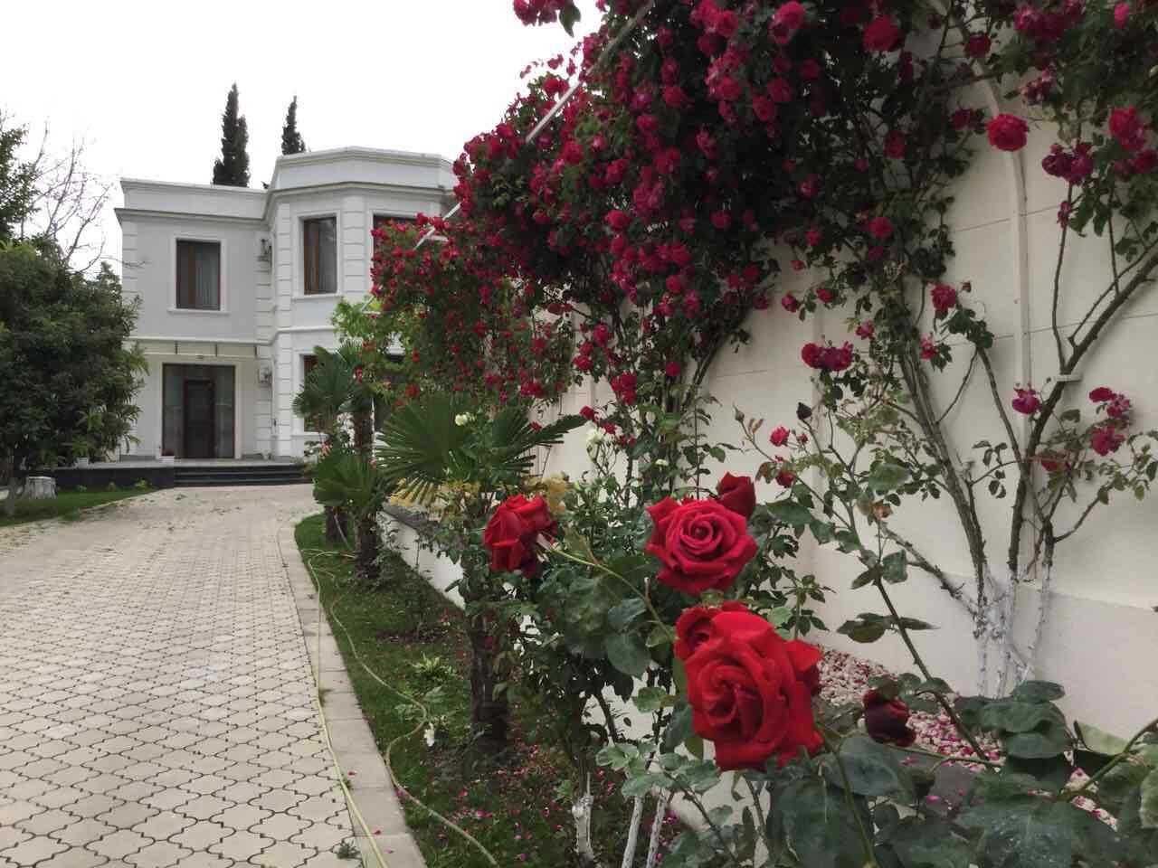 Krtsanisi St: 8-Room House, 427.0 M² | Korter.Ge view 10