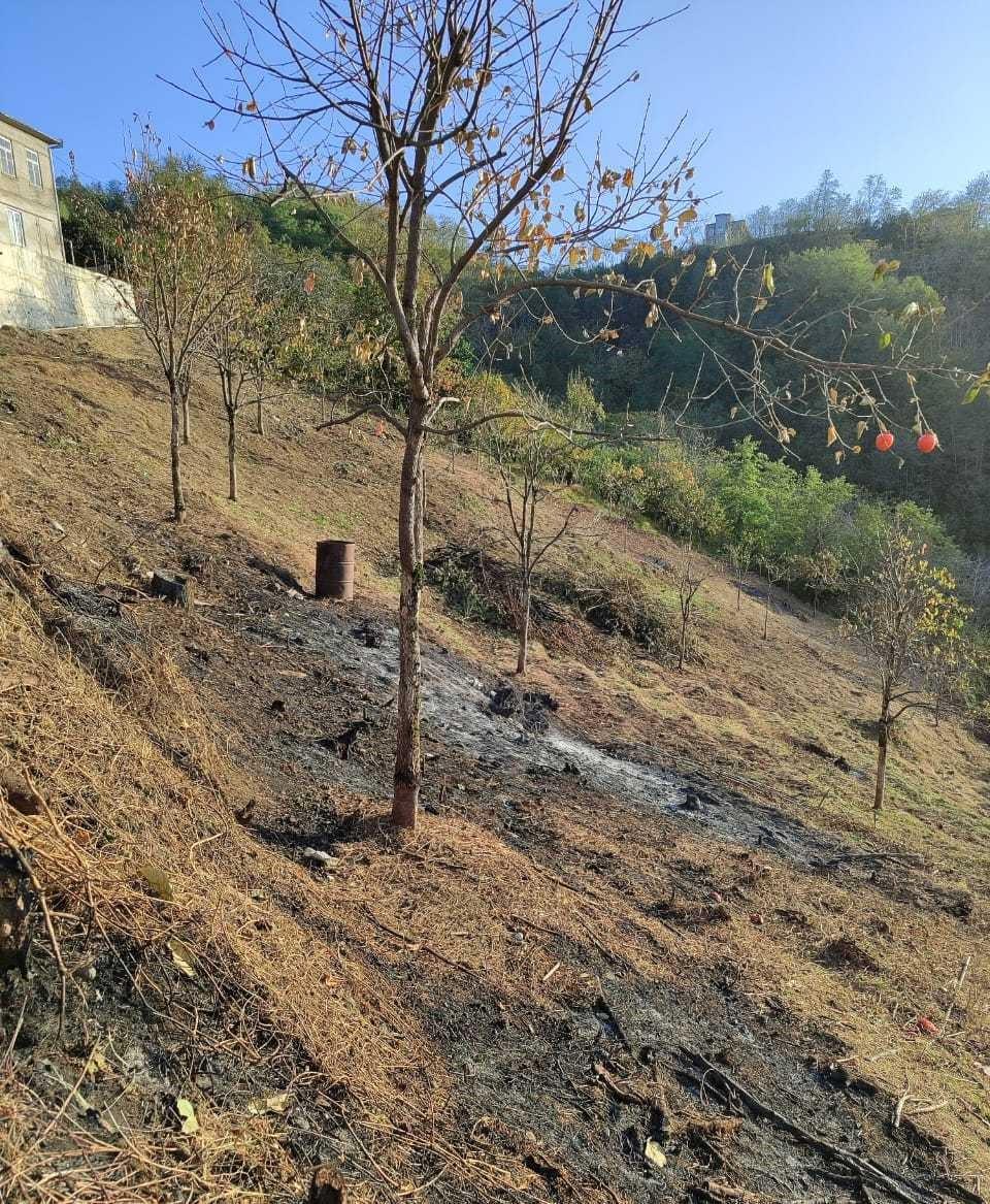 Land For Sale In Batumi, 2,585 M² For $258,000 view 4