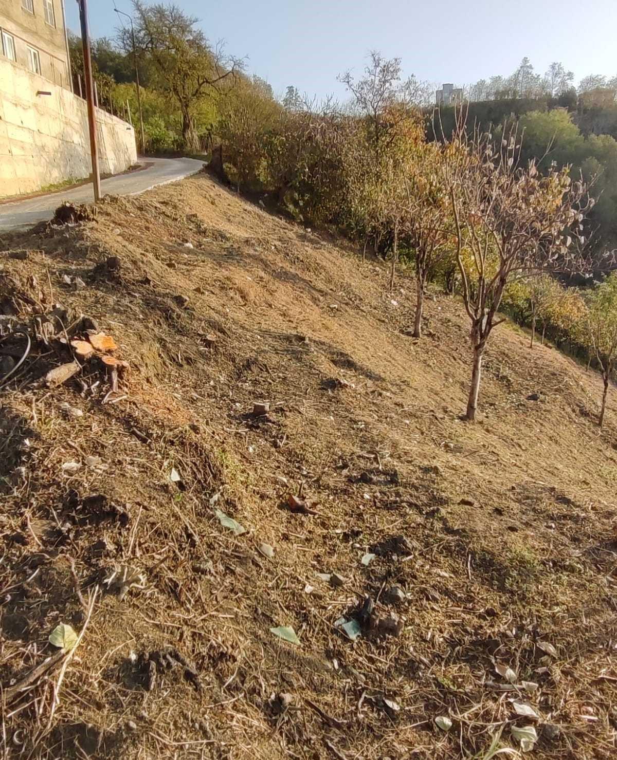 Land For Sale In Batumi, 2,585 M² For $258,000 view 1