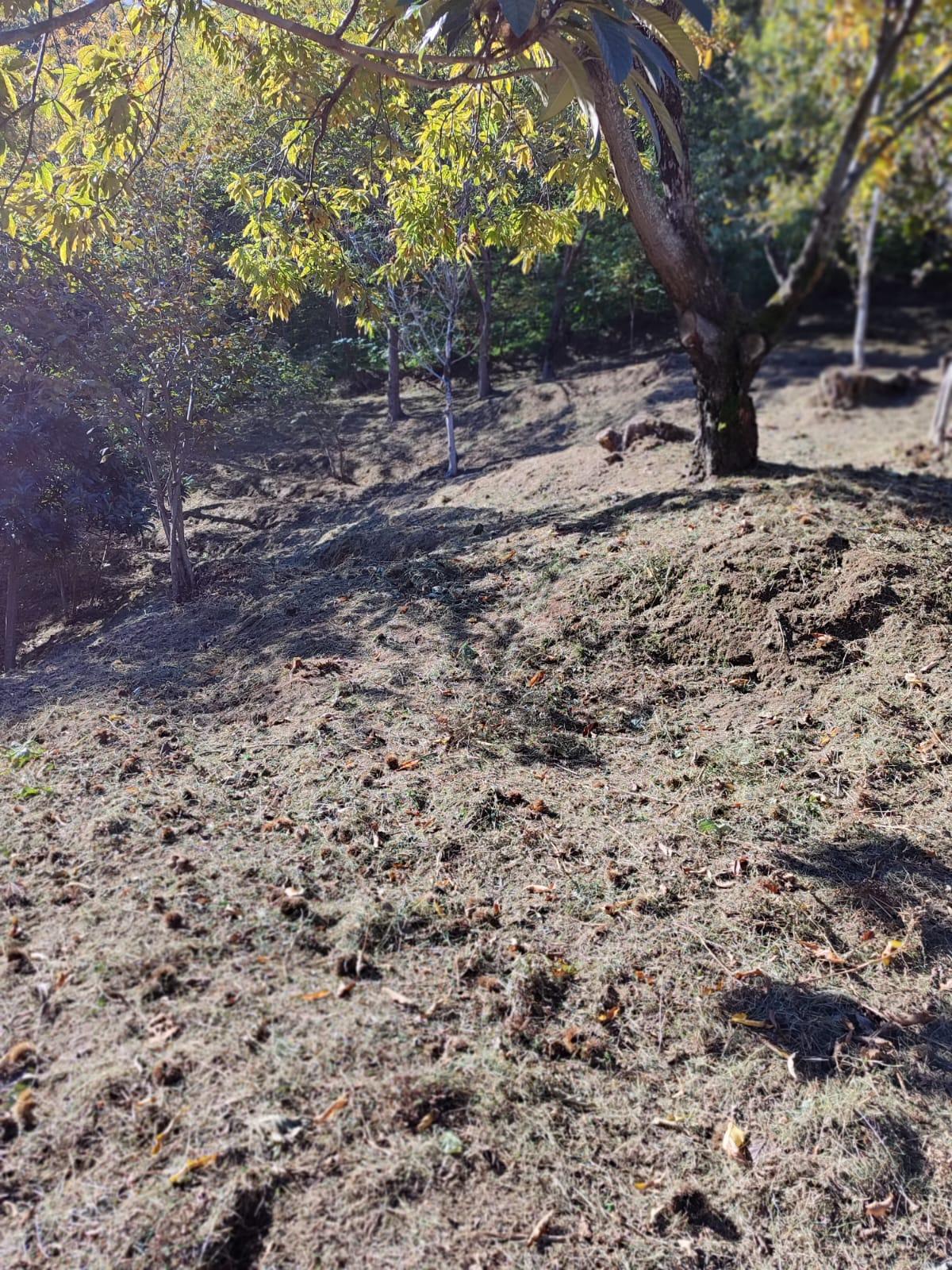 Land For Sale In Batumi, 1,722 M² For $103,000 view 3