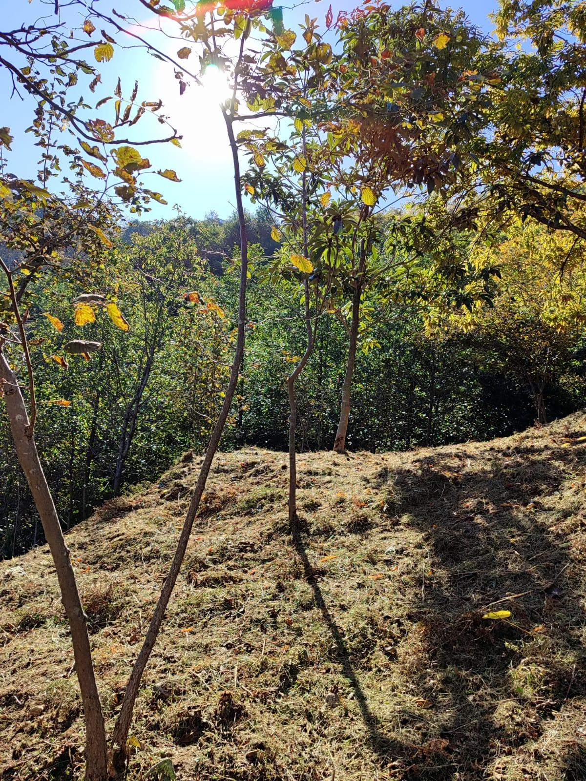 Land For Sale In Batumi, 1,722 M² For $103,000 view 4
