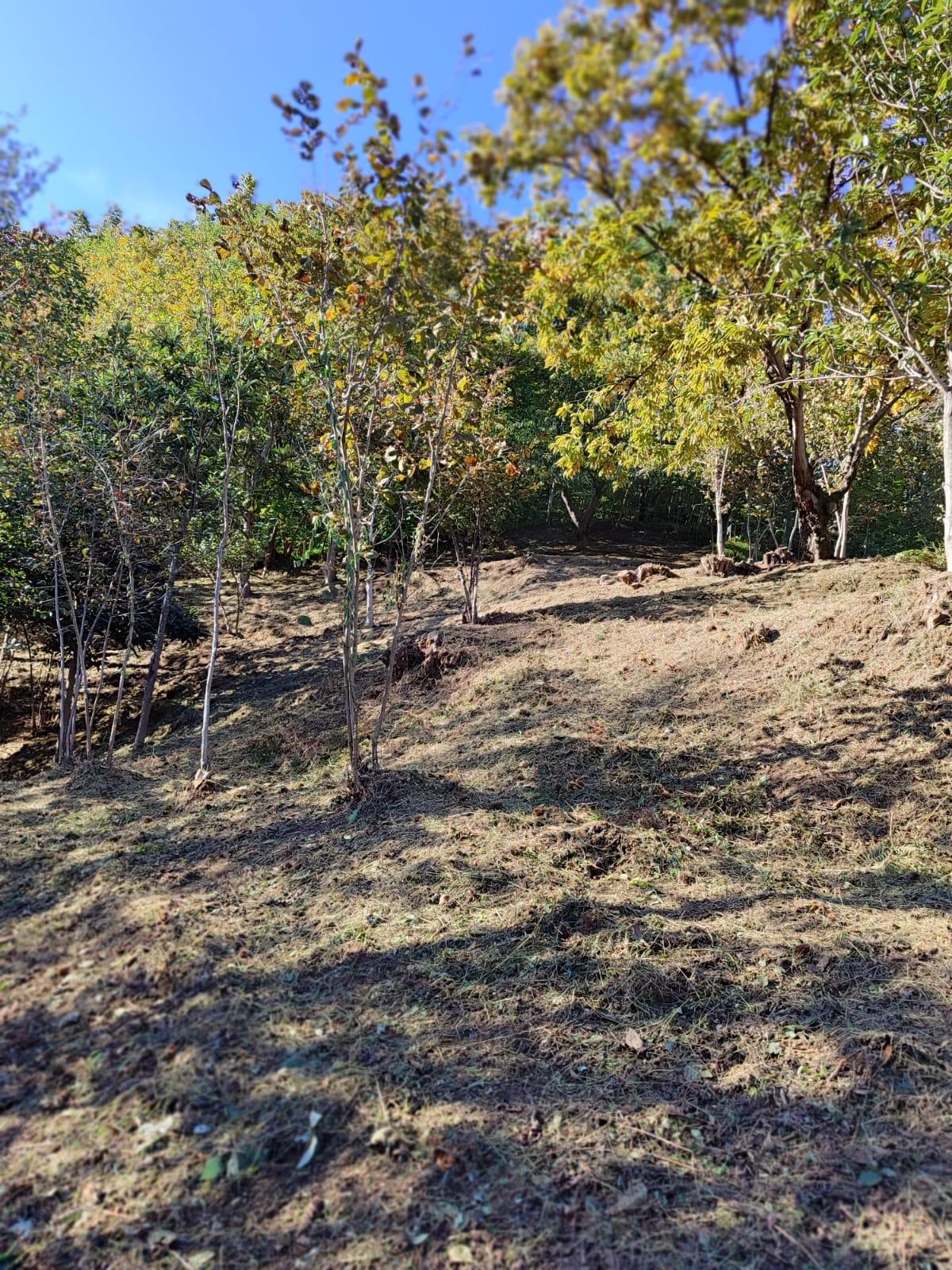 Land For Sale In Batumi, 1,722 M² For $103,000 view 5