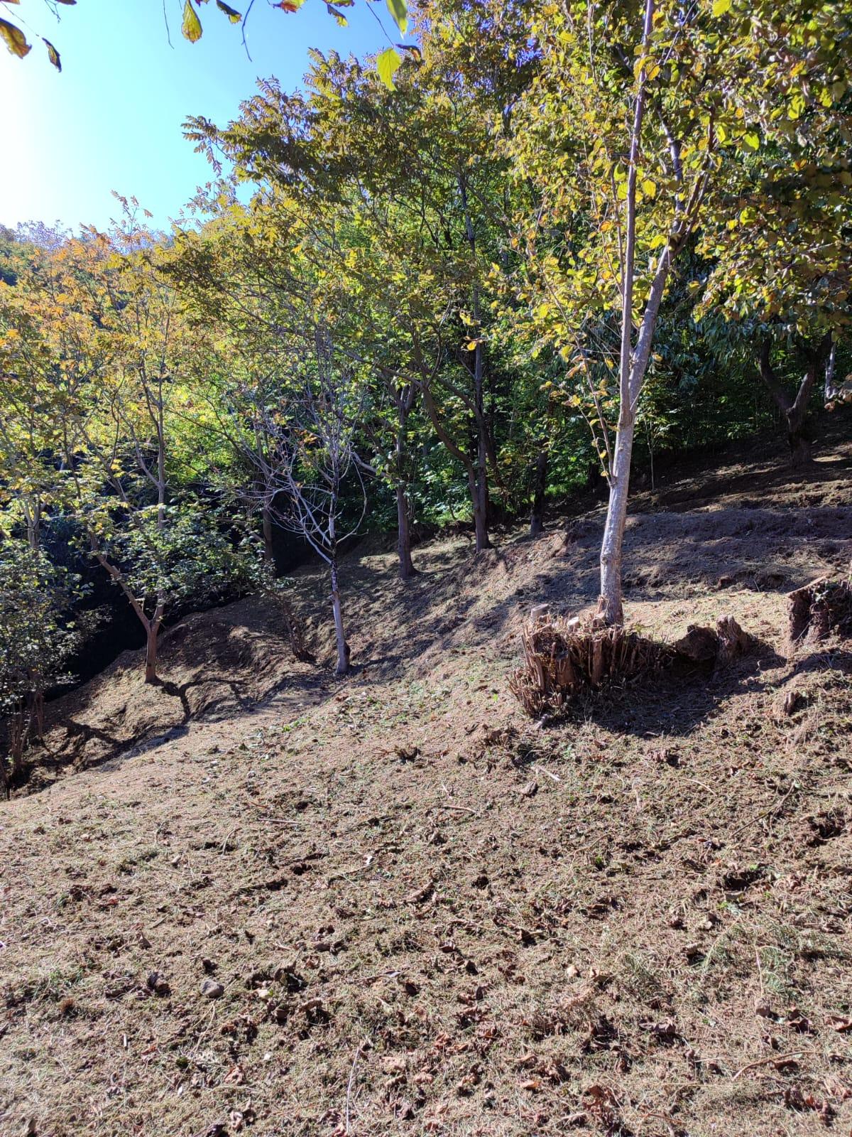Land For Sale In Batumi, 1,722 M² For $103,000 view 7