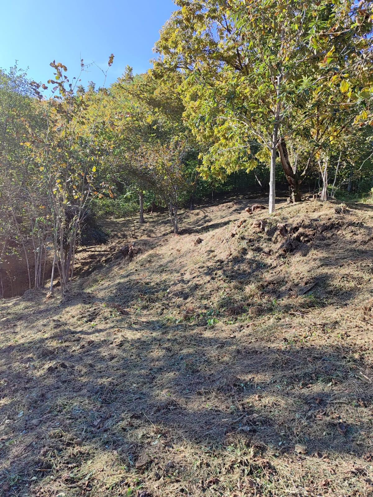 Land For Sale In Batumi, 1,722 M² For $103,000 view 6