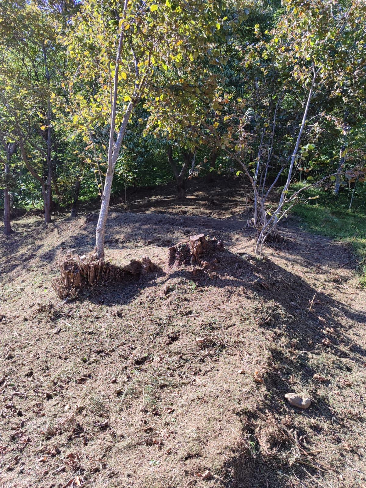 Land For Sale In Batumi, 1,722 M² For $103,000 view 8