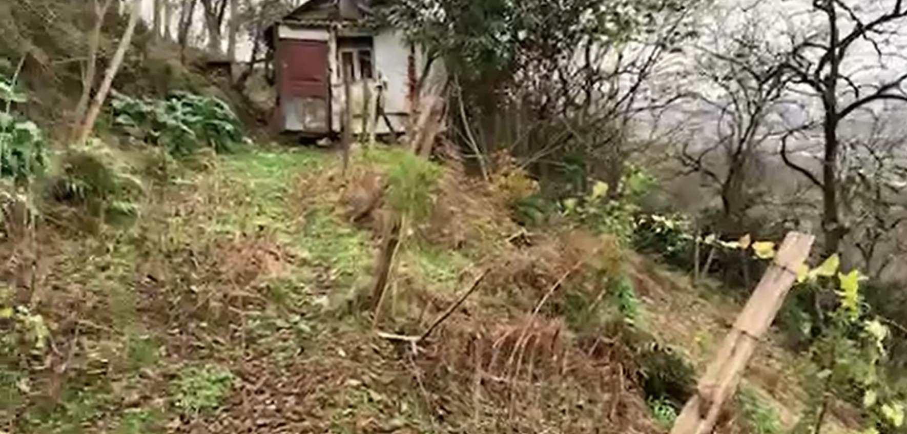 Land For Sale In Batumi, 800 M² For $82,400 view 6