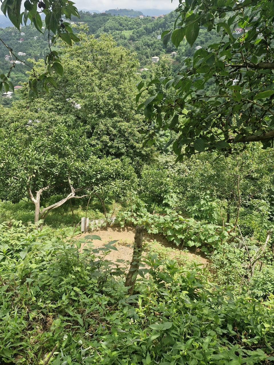Land For Sale In Batumi, 800 M² For $65,000 view 2