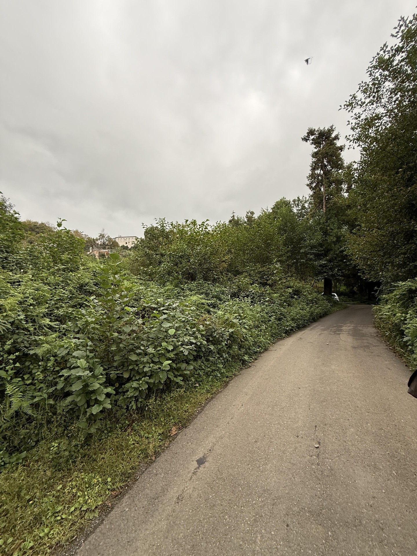 Land For Sale In Chakvi, 3,293 M² For $247,000 view 1