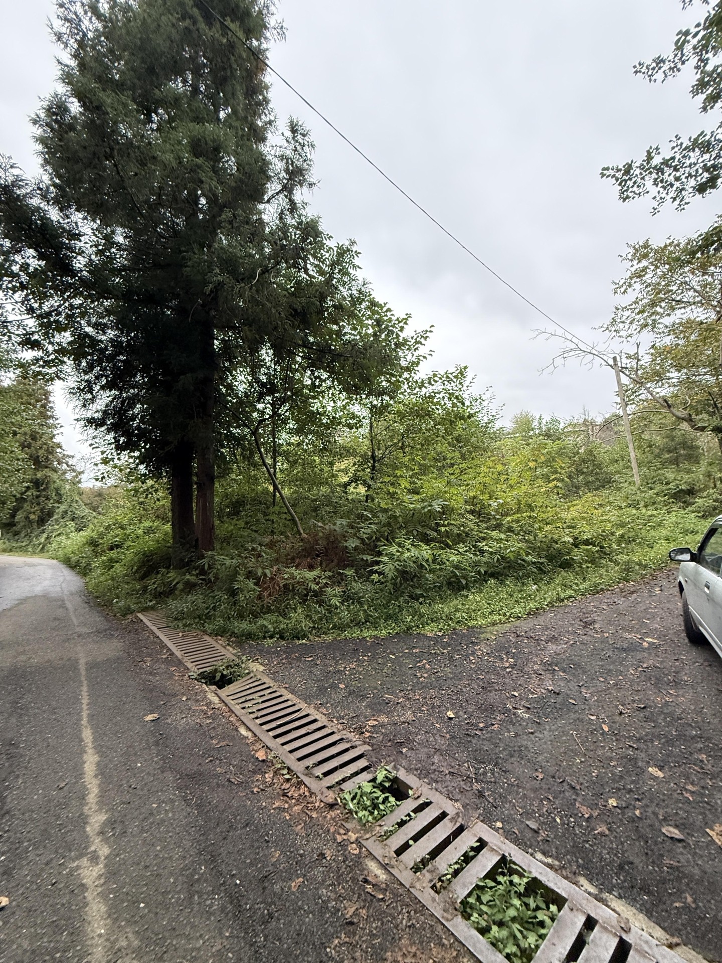 Land For Sale In Chakvi, 3,293 M² For $247,000 view 3
