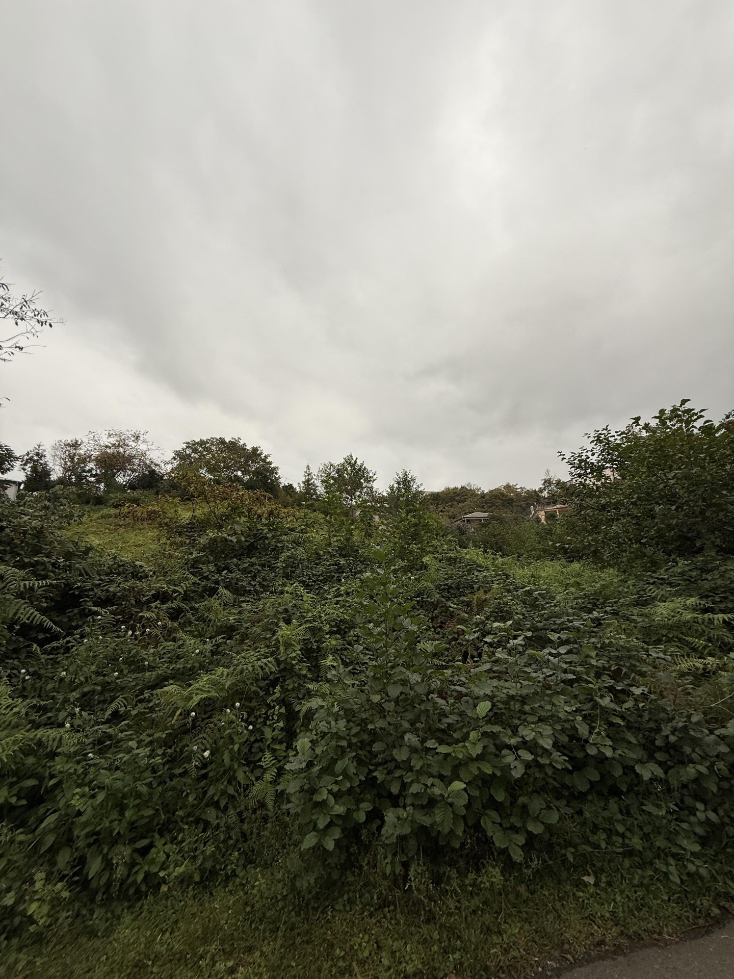 Land For Sale In Chakvi, 3,293 M² For $247,000 view 6